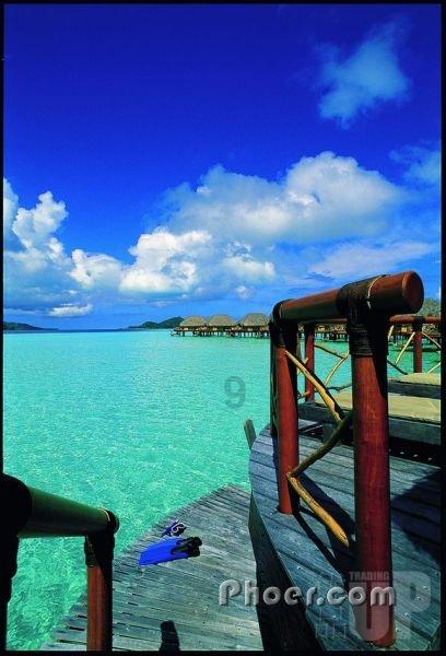 加入离婚后的男人,会不会再次结婚?,开启知识星球的奇妙之旅!