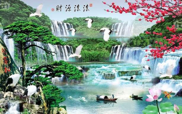 春雨直播app